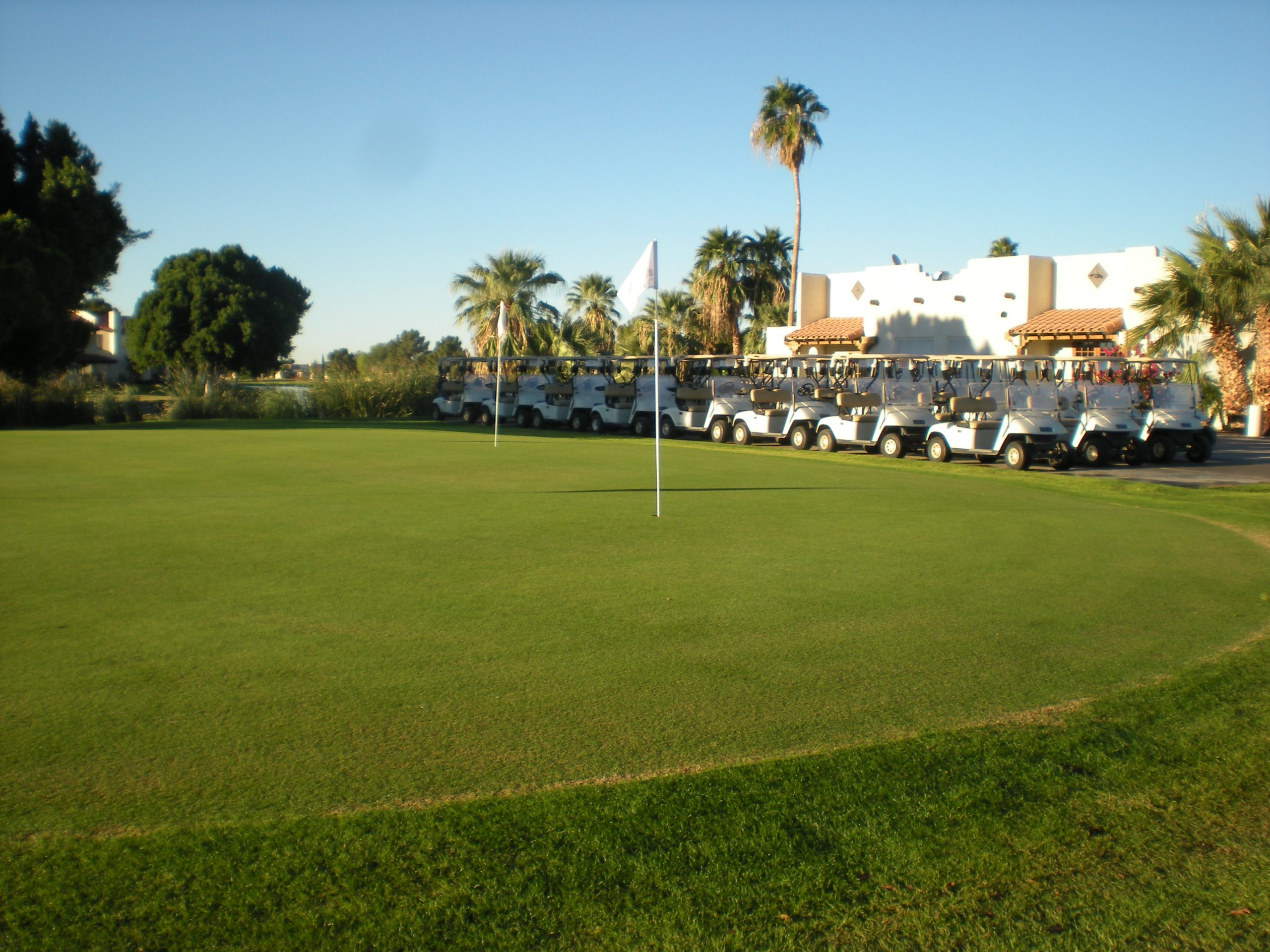 Golf course green with trees