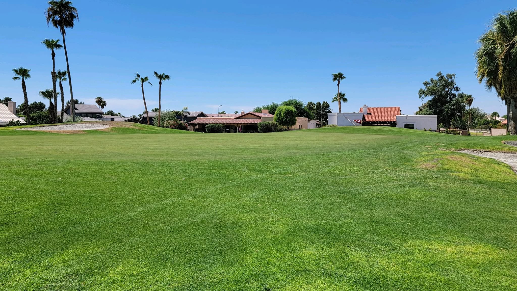 Image of golf ball on tee on grass.